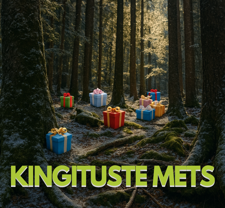 Kingituse mets: avasta oma ideaalne kingitus – 12 imelise valiku seast 🌲✨🎁